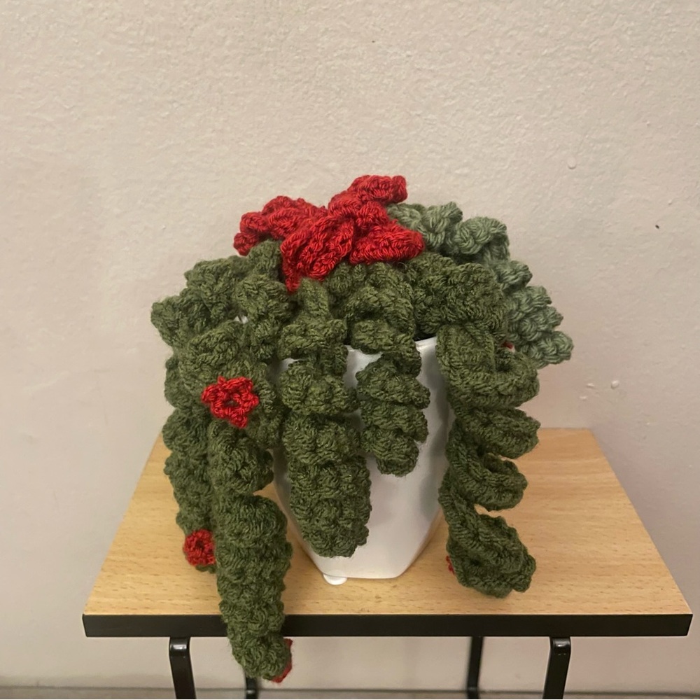 LD Yarn Creations Handmade Green & Red Crocheted Plant Décor – Approx 6” Tall - Picture 8 of 13